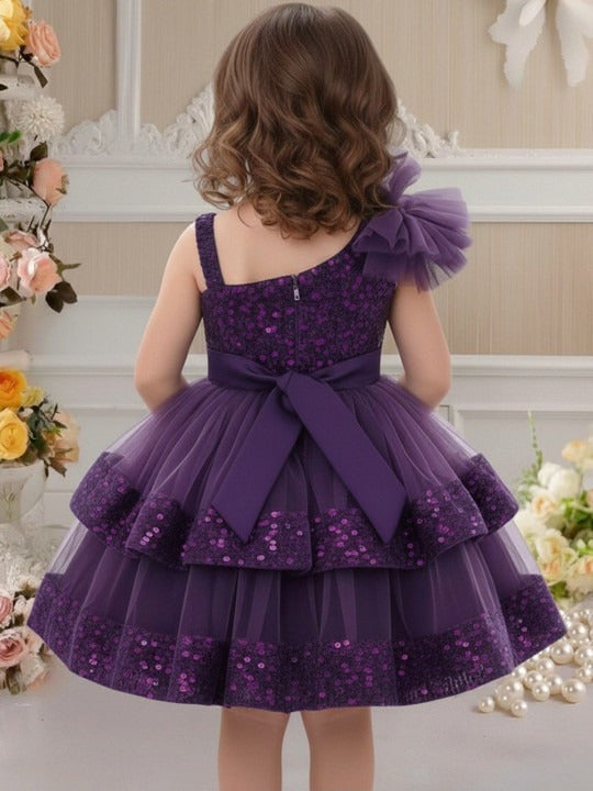 Embellished Embroidered Net Fit & Flare Dress