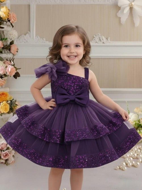 Embellished Embroidered Net Fit & Flare Dress