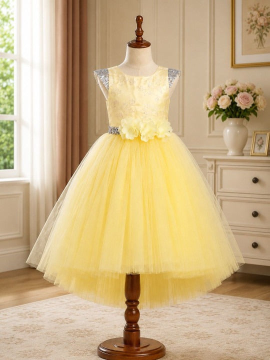 Applique Net Fit & Flare Dress