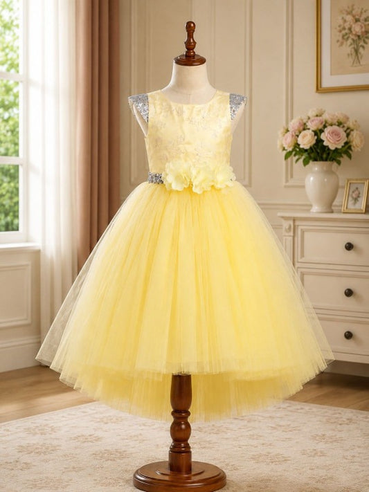 Applique Net Fit & Flare Dress