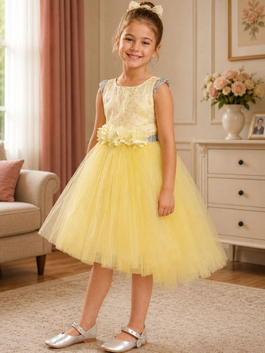 Applique Net Fit & Flare Dress