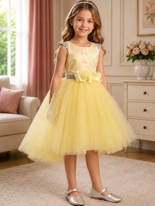 Applique Net Fit & Flare Dress
